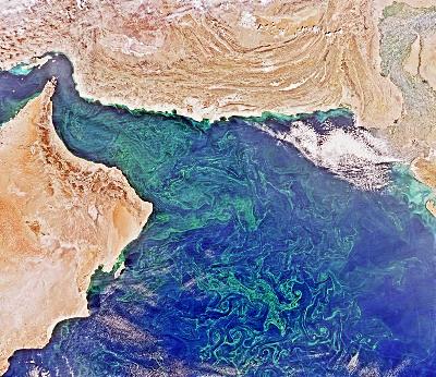 Kerusakan ekologi di sekitar Teluk Oman membuat perairan minim oksigen alias zona mati meluas. Hal ini dipicu oleh kombinasi peningkatan suhu laut dan aliran limbah.  