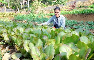 Making Farming Cool For Young Farmers