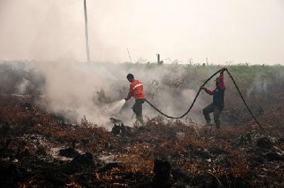 Pengadilan negeri menganulir putusan kasasi yang menghukum pembakar hutan. Merusak kepastian hukum.