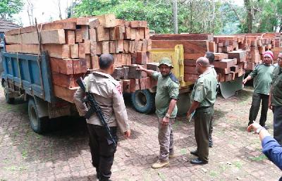 KPK mensupervisi pencegahan penebangan ilegal di Papua.
