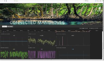 Teknologi untuk Melindungi Mangrove