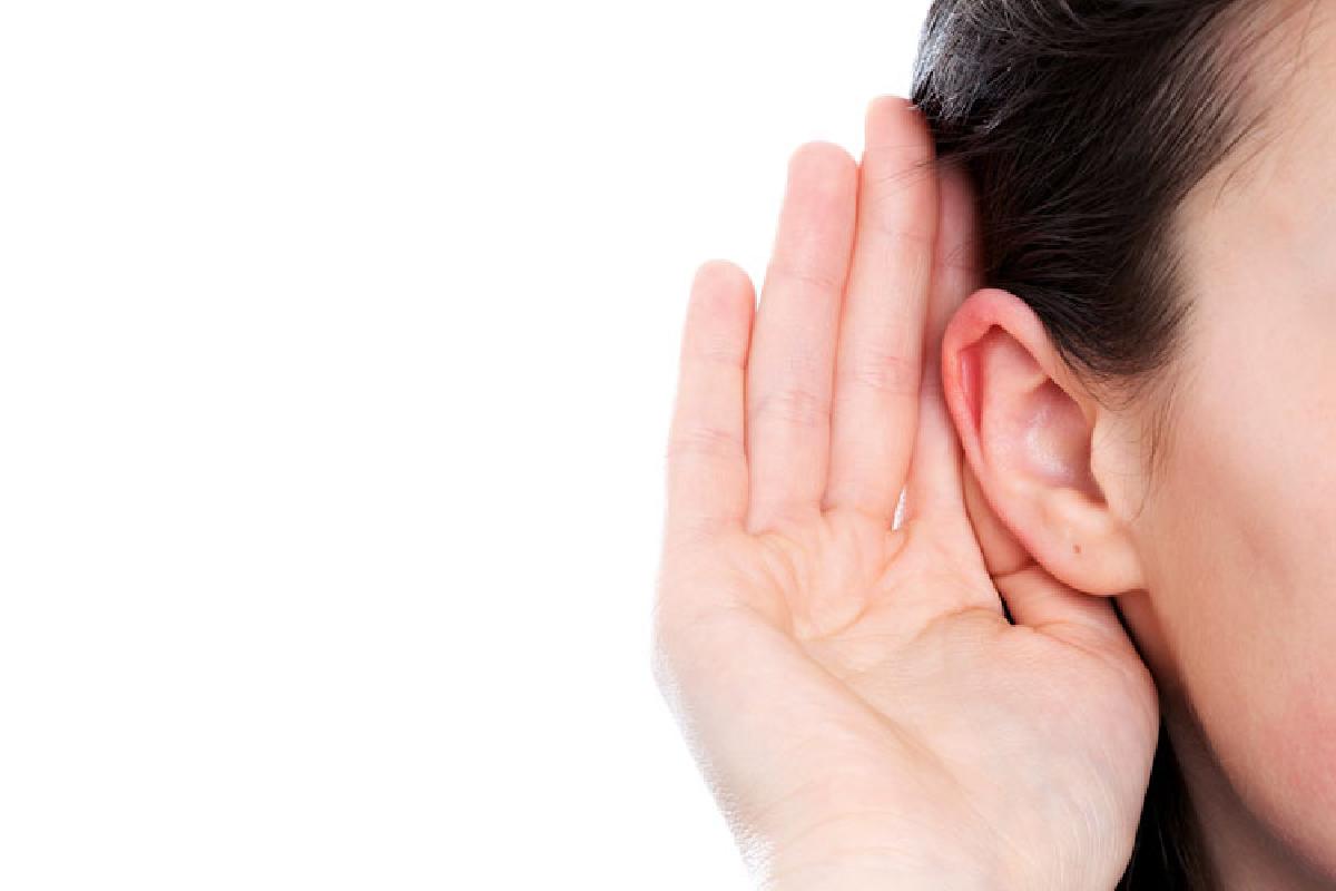 Image result for pendengaran bisnis