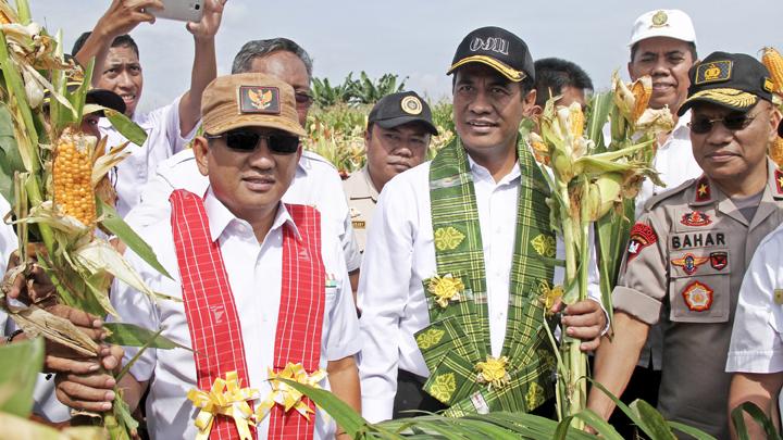 Menteri Pertanian Amran Sulaiman (tengah) saat panen jagung di Desa Lariang, Kabupaten Pasangkayu, Sulawesi Barat, Oktober lalu.