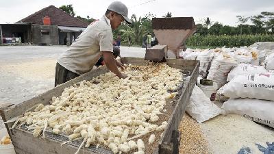 Pekerja merontokkan biji jagung untuk pakan ternak di Desa Kajongan, Bojongsari, Purbalingga, Jawa Tengah.