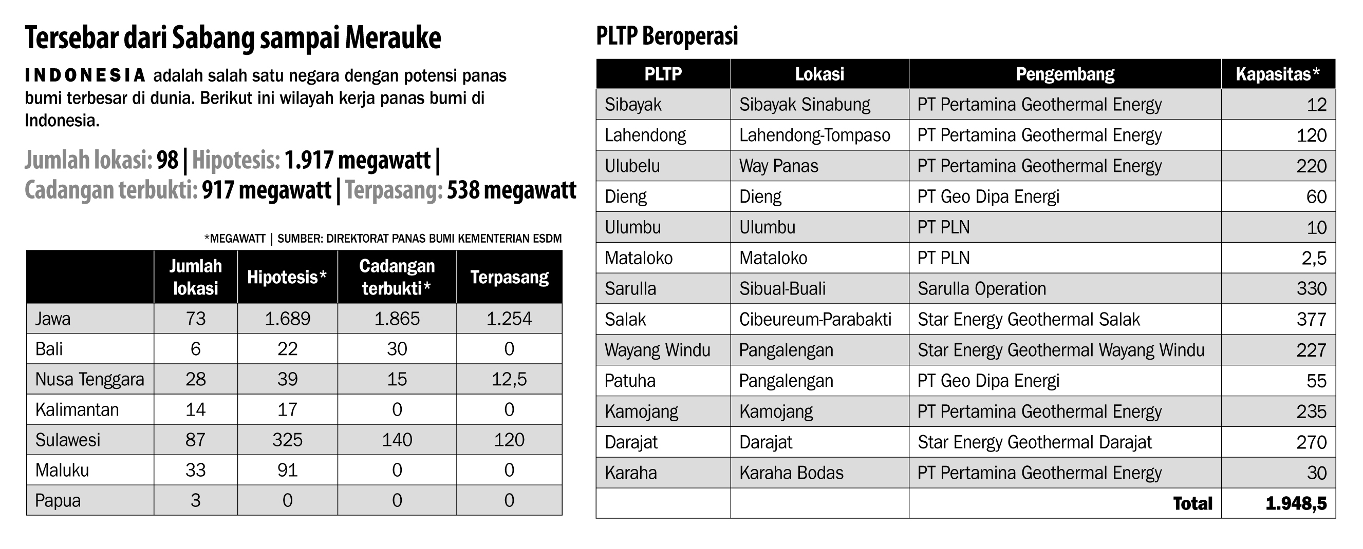 Lima Wilayah Kerja Panas Bumi Dilelang Tahun Ini - Ekonomi dan Bisnis