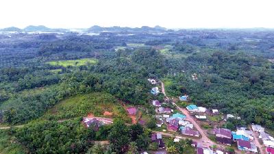 Segumon customary residential area next to the Tembawang Tampun Juah, Sanggau Regency, West Kalimantan. /TEMPO/Subekti