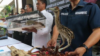Rilis barang bukti kasus perdagangan satwa dilindungi di Kepolisian Daerah Jawa Timur, Surabaya, 27 Maret lalu. ANTARA/Didik Suhartono