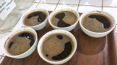 Sampel kopi asli Indonesia dalam penelitian Sastia Prama Putri. Dok. Pribadi
