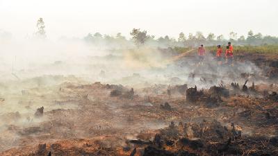 Petugas kantor pencarian dan pertolongan memadam­kan kebakaran lahan gam­but  di Puding, Kumpeh Ilir, Muaro Jambi, Jambi, 11 September 2019. ANTARA