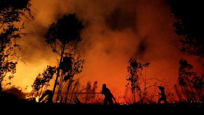 Sejumlah petugas pemadam kebakaran berupaya memadamkan api di Taman Nasional Sebangau, Palangka Raya, Kalimantan Tengah, 14 September 2019. Reuters