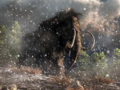 Ilustrasi mammoth berbulu.  sciencedaily.com