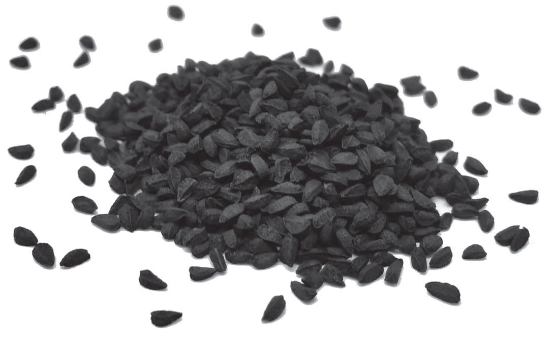 Черные семена похожие. Nigella Sativa Seeds. Kalonji (Nigella Sativa. Чёрные семена похожие на кунжут. Черные семена.