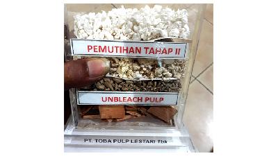 Contoh pulp yang dihasilkan PT Toba Pulp Lestari,  26 Novem­ber 2019./Indonesialeaks