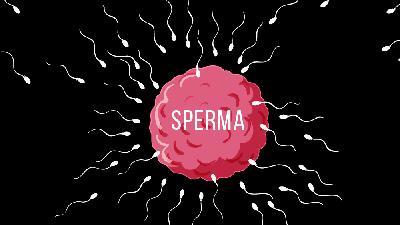 Sperma/Tempo