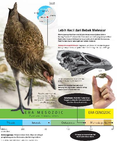 Burung Tertua dari Era Jurassic