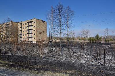 Sisa kebakaran di dekat bekas pembangkit tenaga nuklir Chernobyl , Ukraina, Ahad lalu. REUTERS/Stringer
