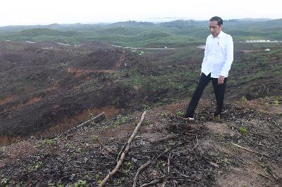 Presiden Joko Widodo meninjau lokasi rencana ibu kota baru di Sepaku, Penajam Paser Utara, Kalimantan Timur, Desember 2019. Foto: ANTARAAkbar Nugroho Gumay