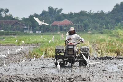 Petani membajak sawah di Desa Sidomulyo, Kecamatan Sawahan, Kabupaten Madiun, Jawa Timur, 18 April lalu. 