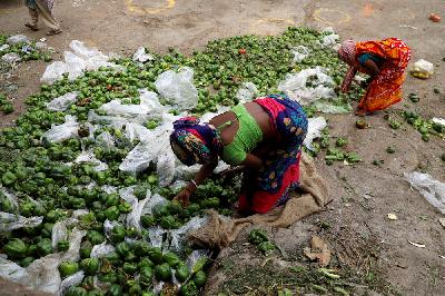 Warga mengumpulkan paprika yang dibuang di pasar sayuran selama lockdown nasional di New Delhi, India, 6 Mei 2020. REUTERS/Anushree Fadnavis