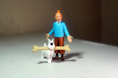 17 Tahun Tumbuh Bersama Tintin