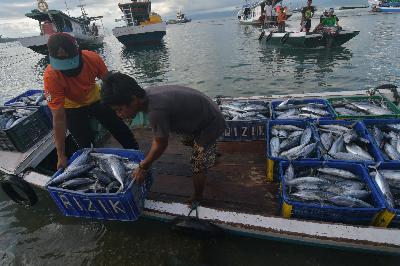 Nelayan membongkar muat Ikan hasil tangkapannya sebelum dijual di Kabupaten Donggala, Sulawesi Tengah, 8 Mei 2020.  ANTARA/Mohamad Hamzah