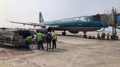 Petugas mengecek kotak yang berisi benih bening lobster yang akan diekspor ke Vietnam melalui Bandara Internasional Soekarno-Hatta, 12 Juni lalu.