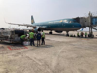 Petugas mengecek kotak yang berisi benih bening lobster yang akan diekspor ke Vietnam melalui Bandara Internasional Soekarno-Hatta, Banten. 12 Juni 2020 istimewa