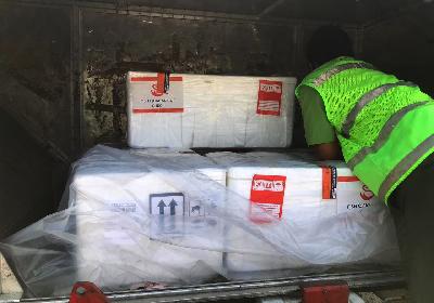 Kotak berisi benih bening lobster yang diekspor ke Vietnam melalui Bandara Internasional Soekarno-Hatta, 12 Juni lalu. Istimewa