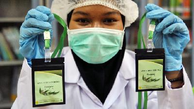 Pekerja menunjukkan kalung antivirus hasil pengolahan laboratorium nano teknologi di Balitbangtan, Cimanggu,  Bogor, Jawa Barat, 7 Juli 2020. ANTARA/Arif Firmansyah