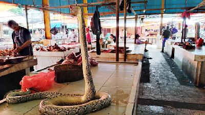 Aktrivitas Perdagangan Satwa di Pasar Beriman Kota Tomohon, Sulawesi Utara, 28 Juli 2020./Tempo/Budhy Nurgianto