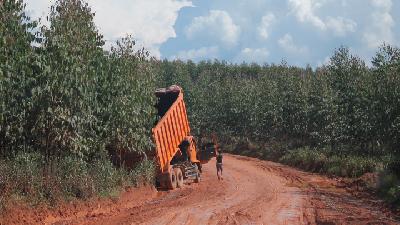 Jalan tambang di lahan milik PT Bumi Persada Permai, Musi Banyuasin, Sumatera Selatan, pada 22 Juni lalu. TEMPO/Erwan Hermawan