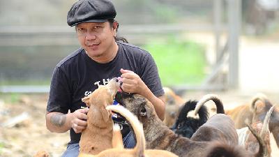 Doni Herdaru Tona, Ketua sekaligus pendiri pencinta hewan Animal Defenders Indonesia saat ditemui di Animal Shelter, Parung, Bogor, Jawa Barat, 06 Agustus 2020./Tempo/STR/Nurdiansah.