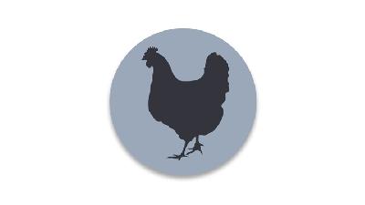 Rombak Total Industri Ayam