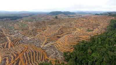 Lahan Wilayah Adat Kinipan garapan perusahaan sawit PT. Sawit Mandiri Lestari (SML), 2020. Dok Save Our Borneo