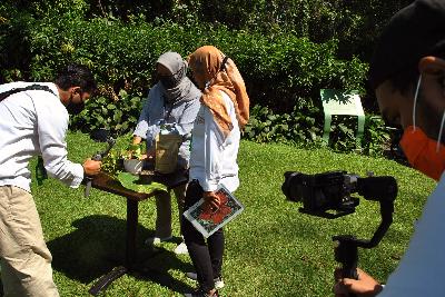 Petugas menjelaskan cara merawat tanaman di dalam ruangan saat wisata virtual study tour di Kebun Raya Bogor, Jawa Barat, 28 September 2020. ANTARA/Arif Firmansyah