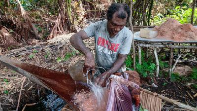 Warga Samo menuang air untuk merendam serpihan pohon sagu yang merupakan proses dari bahalo sagu, yakni kegiatan mengolah batang pohon sagu menjadi tepung sagu, Oktober lalu di Kabupaten Halmahera Selatan, Maluku Utara. EcoNusa/Kei Miyamoto