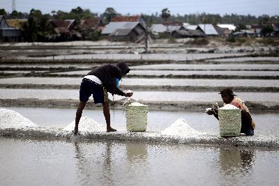 Petani mengumpulkan garam saat panen garam di Kecamatan Bangkala, Jeneponto, Sulawesi Selatan.  TEMPO/Iqbal Lubis