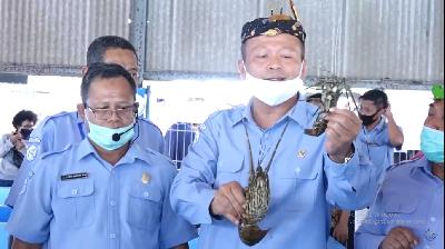 Menteri Kelautan dan Perikanan Edhy Prabowo memperlihatkan lobster di Balai Perikanan Budidaya Air Payau, Situbondo, Jawa Timur, 9 Juli 2020. kkp.go.id