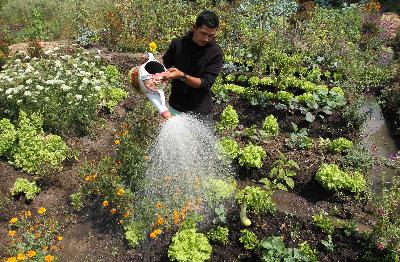Petani menyiram tanaman organik di Kota Batu, Jawa Timur. TEMPO/Aris Novia Hidayat