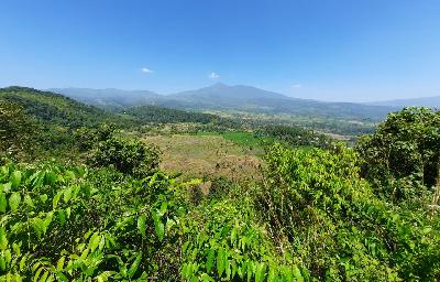 Kawasan hutan lindung Sirukam di Kecamatan Payung Sekaki, Kabupaten Solok, Sumatera Barat, November lalu. Foto: Istimewa
