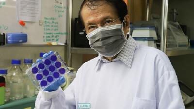 Profesor David Handojo Muljono menunjukkan Plaque reduction neutralization test (PRNT) saat ditemui di Laboratarium Lembaga Eijkman, Jakarta, Selasa, 17 November 2020. TEMPO/M Taufan Rengganis