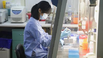 Seorang peneliti sedang memeriksa kadar antibodi netralisasi di Laboratarium Lembaga Eijkman, Jakarta, Selasa, 17 November 2020./TEMPO/M Taufan Rengganis