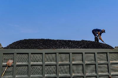Bongkar muat batu bara di Pelabuhan Karya Citra Nusantara (KCN) Marunda, Jakarta. Tempo/Tony Hartawan