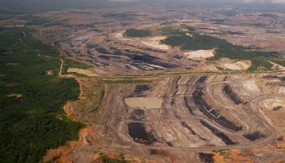 Tambang batubara Tutupan milik Adaro Energy di dekat Banjarmasin, Kalimantan Selatan. REUTERS/Matthew Bigg
