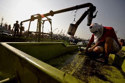 Pekerja mengisi truk tangki dengan crude palm oil (CPO) di Pelabuhan Tanjung Priok, Jakarta. TEMPO/Tony Hartawan