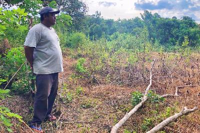Ketua Kelompok Tani Desa Lambakara, Ashar, menunjukan cetak sawah yang terbengkalai di kecamatan Laea, kabupaten Konawe Selatan, Sulawesi Tenggara, 18 Februari 2021. TEMPO/Rosniawati Fikri