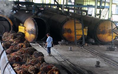 Pengolahan kelapa sawit di Kalimantan Timur.  Dokumentasi TEMPO/Ayu Ambong