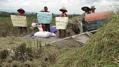 Several farmers and members of the Purbalingga Regency DPC Paddy Milling Association (Perpadi) protested against the rice import plan in Brobot village, Bojongsari, Purbalingga, Central Java, March 23.
Antara/Idhad Zakaria
