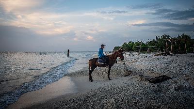 A horse service provider rides his horse while waiting for a tourist visit to Gili Trawangan, Gili Islands, North Lombok, West Nusa Tenggara, March 6.
Antara/Aprillio Akbar
