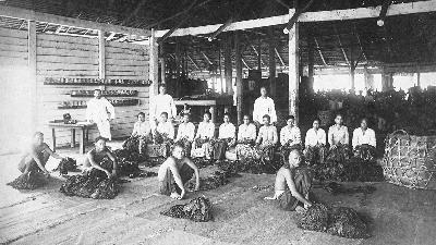 Pekerja Tionghoa menyortir tembakau di salah satu perkebunan tembakau di daerah Deli Serdang, Sumatera, pada 1890. KITLV